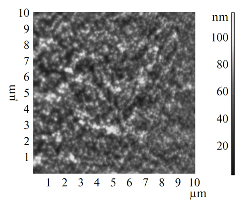  Микрофотография коллоидных квантовых точек 